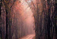 国内足球赛事掀起新一轮火热较量