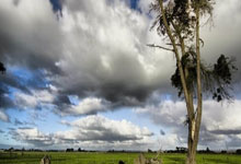 勇士大胜！金州战队击败对手取得连胜