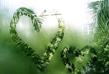 青岛男篮遭受吉林队逆转，遭遇两连败！