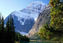 帕尔马主场告捷，球队实力有所提升