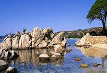 亚运会女足比赛国内球队实力抢眼